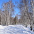 Image-square_50