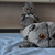 Image-square_50