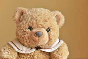 Image-preview_300x200