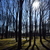 Image-square_50