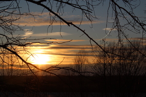Image-preview_300x200
