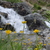 Image-square_50