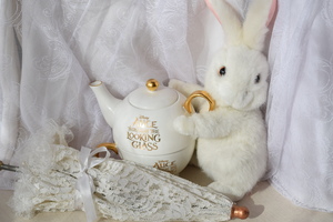 Image-preview_300x200