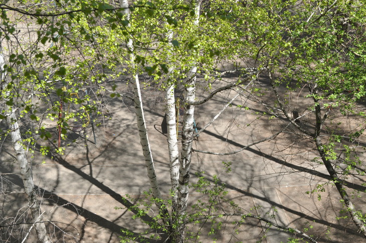Image-normal