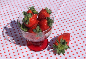 Image-preview_300x200