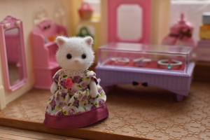 Image-preview_300x200