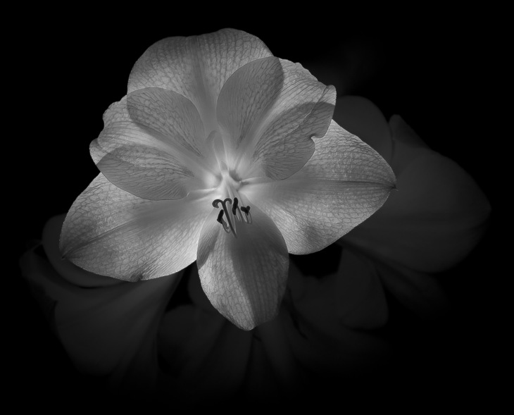 Image-normal