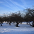 Image-square_50