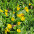 Image-square_50