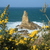 Image-square_50