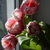 Image-square_50