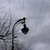 Image-square_50