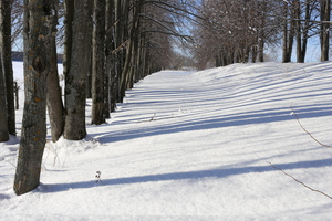 Image-preview_300x200