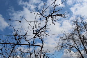 Image-preview_300x200