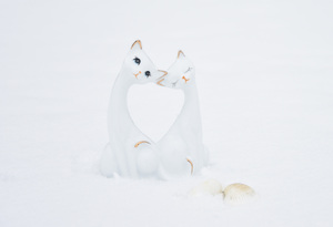 Image-preview_300x200