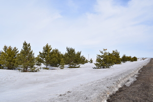Image-preview_300x200