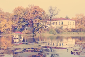 Image-preview_300x200