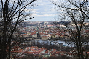 Image-preview_300x200