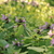 Image-square_50