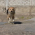 Image-square_50
