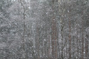Image-preview_300x200