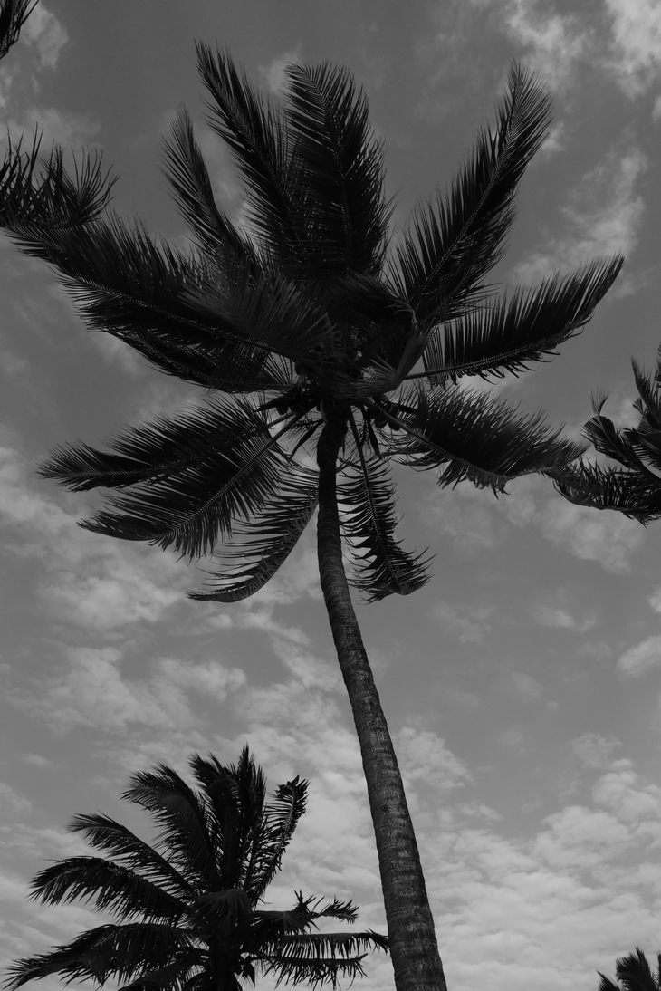 Image-normal