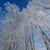Image-square_50