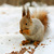 Image-square_50