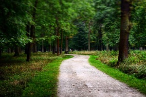 Image-preview_300x200