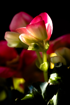Image-preview_300x200