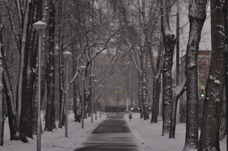 Image-normal