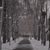 Image-square_50