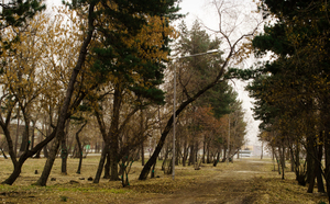 Image-preview_300x200