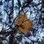 Image-square_50