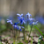 Image-square_50