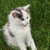Image-square_50