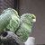 Image-square_50