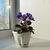 Image-square_50