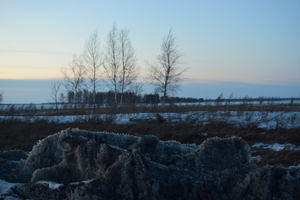 Image-preview_300x200