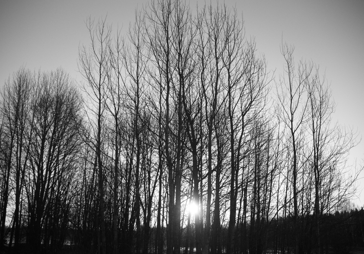 Image-normal