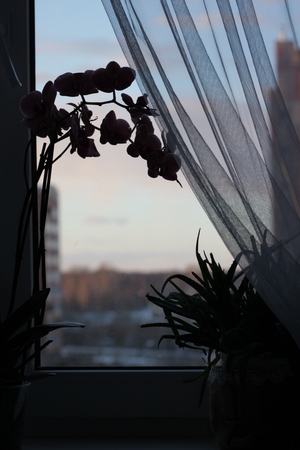 Image-preview_300x200