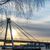 Image-square_50