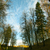 Image-square_50