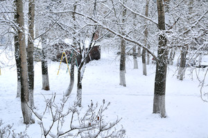 Image-preview_300x200