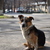Image-square_50