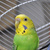 Image-square_50