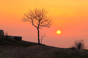 Image-preview_300x200