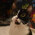 Image-square_50
