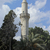 Image-square_50
