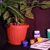 Image-square_50